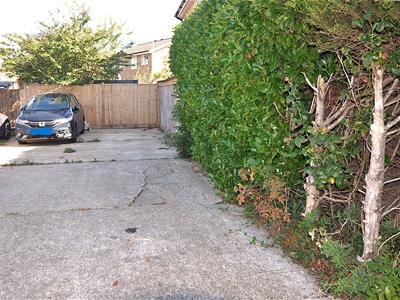 Picture 10